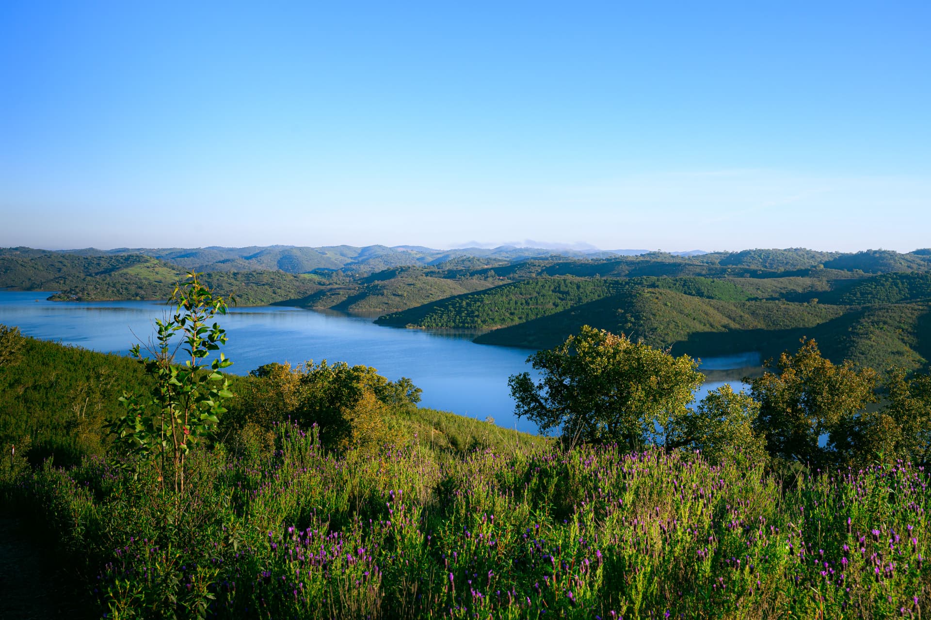 The lake and valley in spring, from the ridge above camp.
